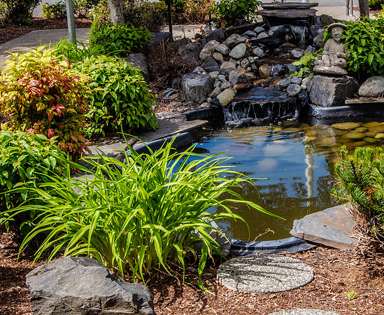 Garden-2