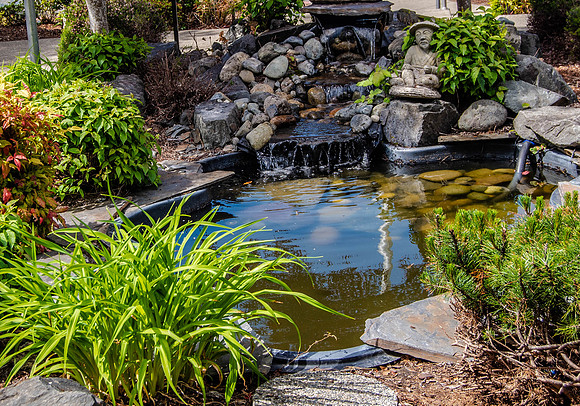 Garden-1